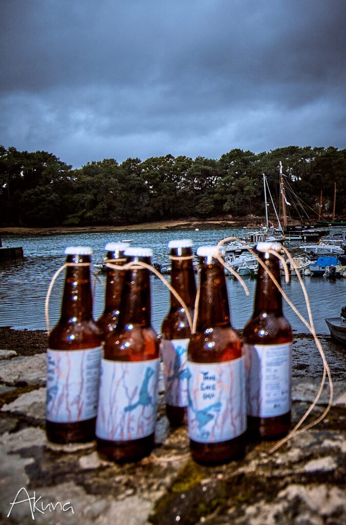 convivialité, ravitaillement, arrivée, troll enez